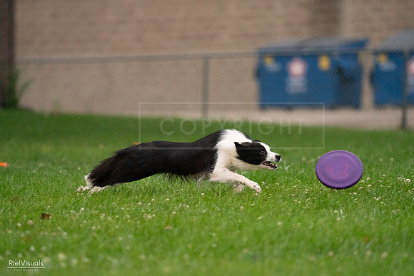 RielVisuals_20240722_194602_SJR02132