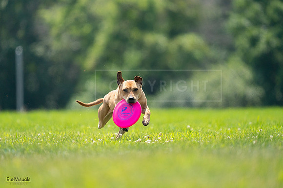 RielVisuals_20240727_131652_SJR07453
