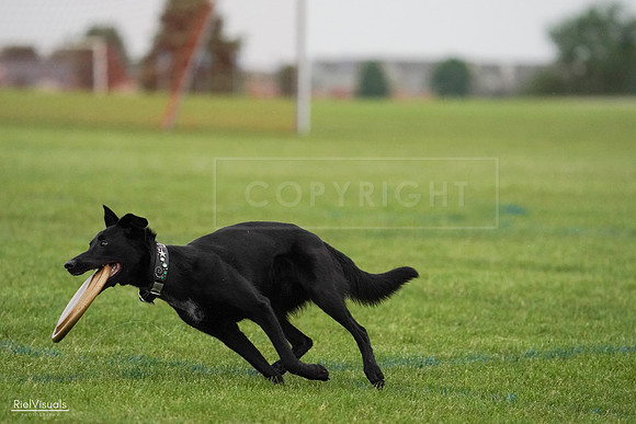 RielVisuals_20240527_093407_SJR07824