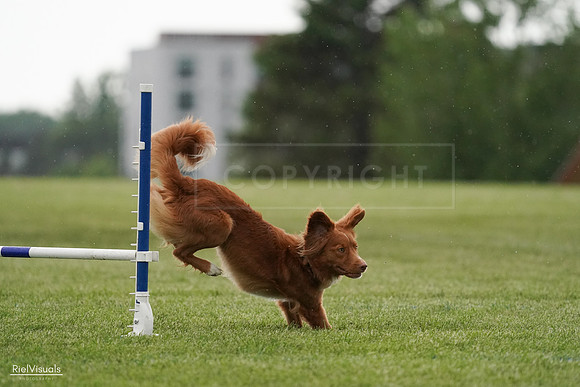 RielVisuals_20240526_093040_SJR00228