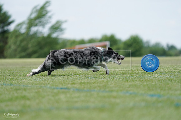 RielVisuals_20240525_124400_SJR01045