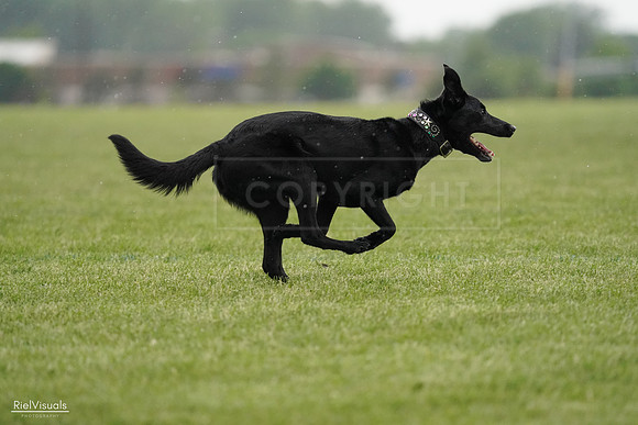 RielVisuals_20240526_092332_SJR09881