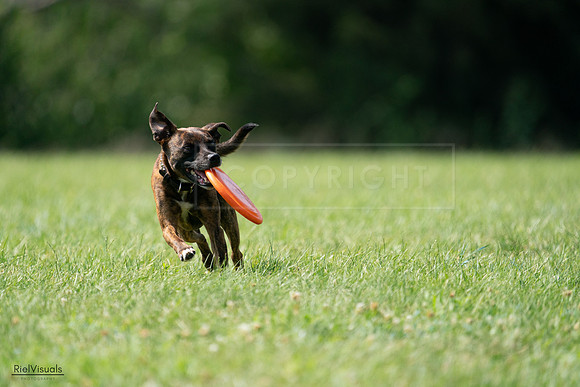 RielVisuals_20240728_151815_SJR00549