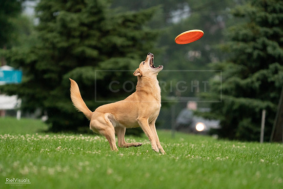 RielVisuals_20240722_191558_SJR00340