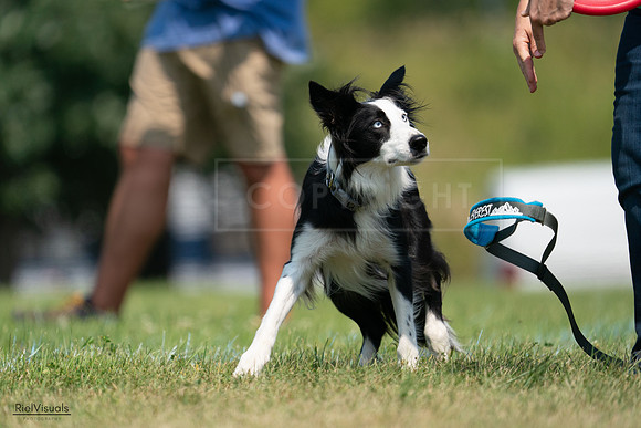 RielVisuals_20240727_114750_SJR03952
