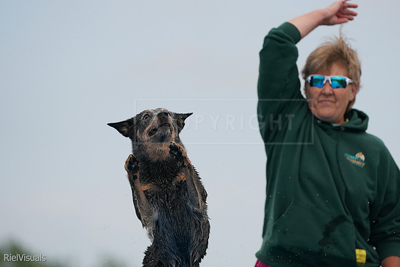 SJR02276
