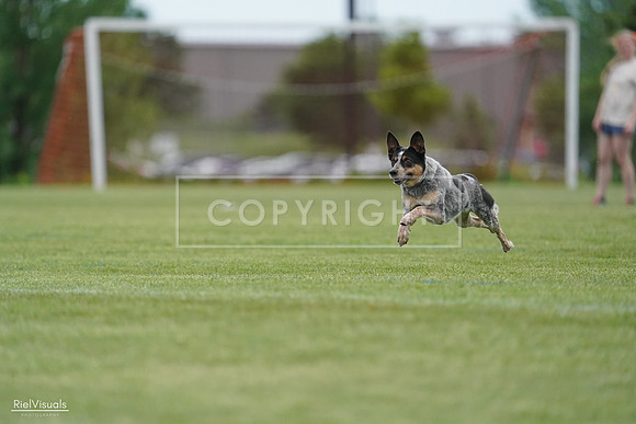 RielVisuals_20240525_164211_SJR05221