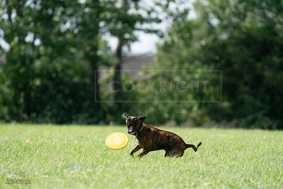 RielVisuals_20240728_151727_SJR00502