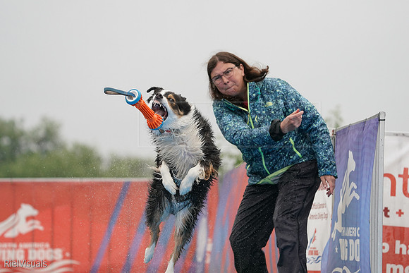 SJR00493
