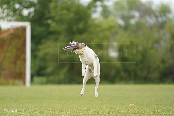 RielVisuals_20240527_140102_SJR01170