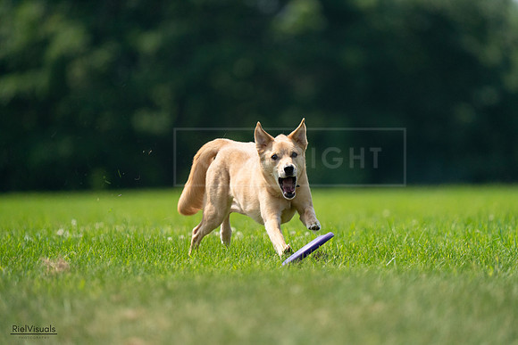 RielVisuals_20240727_120046_SJR04515