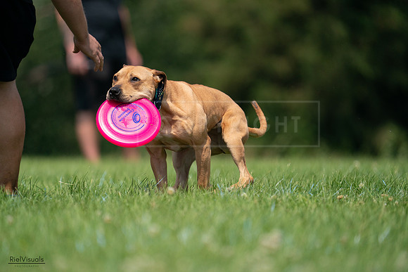 RielVisuals_20240727_115219_SJR04139