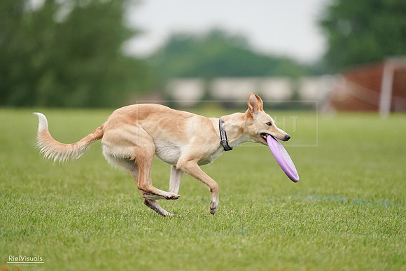 RielVisuals_20240527_110659_SJR02975