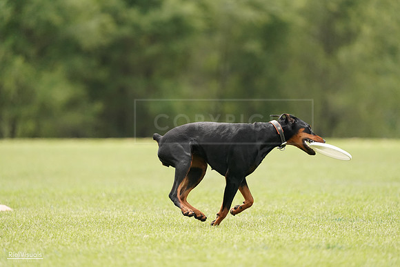 RielVisuals_20240527_134121_SJR00941