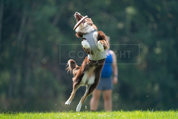 RielVisuals_20240727_120516_SJR04724
