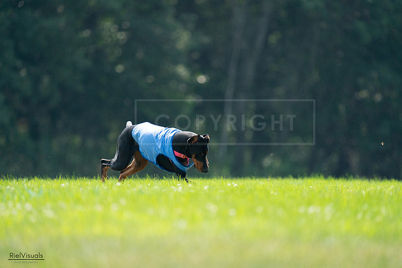RielVisuals_20240727_122608_SJR05538