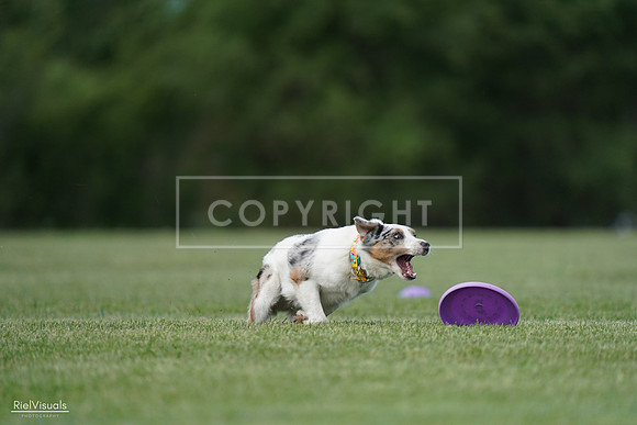 RielVisuals_20240525_090709_SJR09595