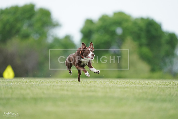 RielVisuals_20240525_162545_SJR04400