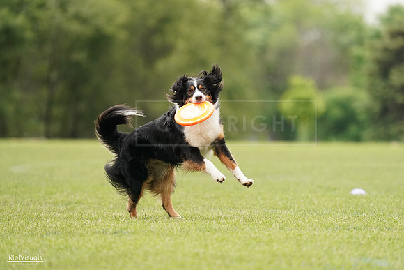 RielVisuals_20240527_132734_SJR09845