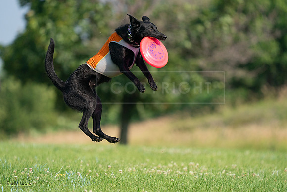 RielVisuals_20240727_093253_SJR06733
