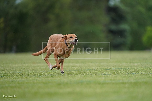 RielVisuals_20240525_161830_SJR03997