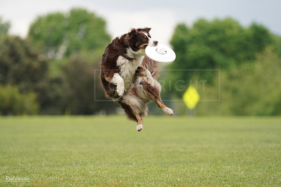RielVisuals_20240527_132356_SJR09618