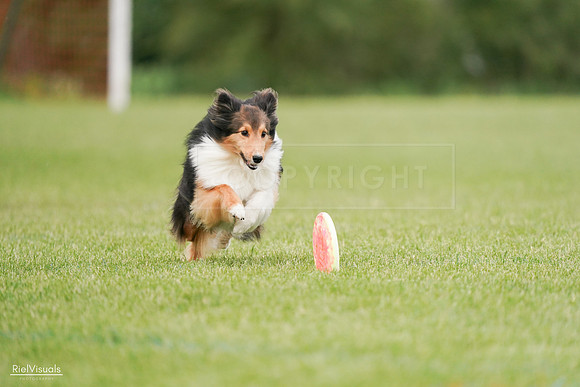 RielVisuals_20240527_140947_SJR01704