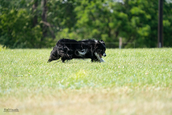 RielVisuals_20240728_152306_SJR00721