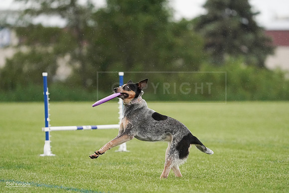 RielVisuals_20240526_094753_SJR01049