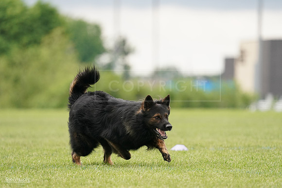 RielVisuals_20240527_132927_SJR09974