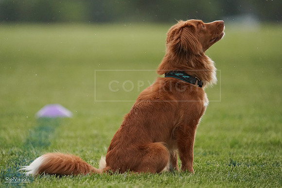 RielVisuals_20240526_093038_SJR00226