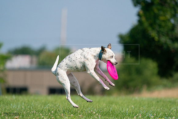 RielVisuals_20240727_095442_SJR08023