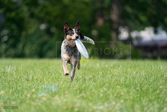 RielVisuals_20240727_134014_SJR08015