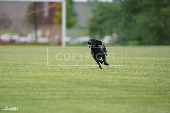 RielVisuals_20240525_164013_SJR05159