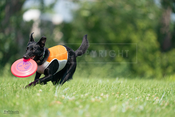 RielVisuals_20240727_115424_SJR04236