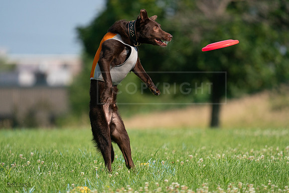 RielVisuals_20240727_092531_SJR06327