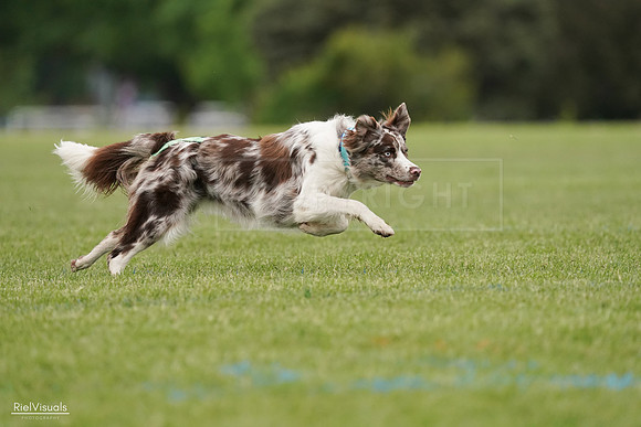 RielVisuals_20240526_110135_SJR00178