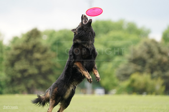 RielVisuals_20240527_132926_SJR09953