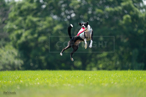 RielVisuals_20240727_130738_SJR06914
