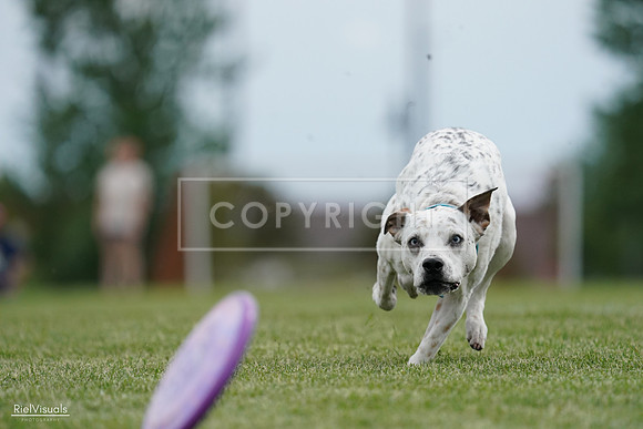 RielVisuals_20240525_160430_SJR03409