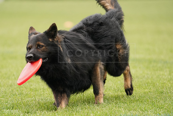RielVisuals_20240527_132945_SJR00038