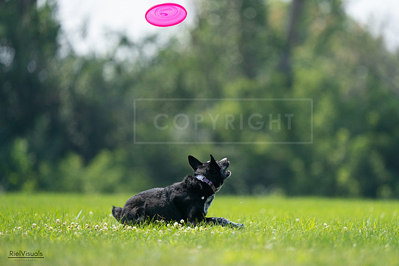 RielVisuals_20240727_125840_SJR06425
