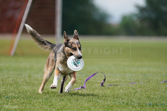 RielVisuals_20240527_141613_SJR02100