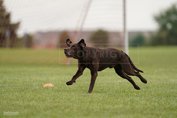 RielVisuals_20240527_132518_SJR09684