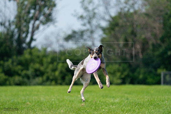 RielVisuals_20240728_103216_SJR08407