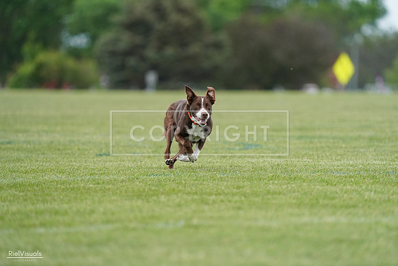 RielVisuals_20240525_162514_SJR04340
