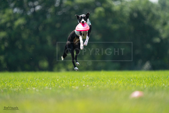 RielVisuals_20240727_130809_SJR06977