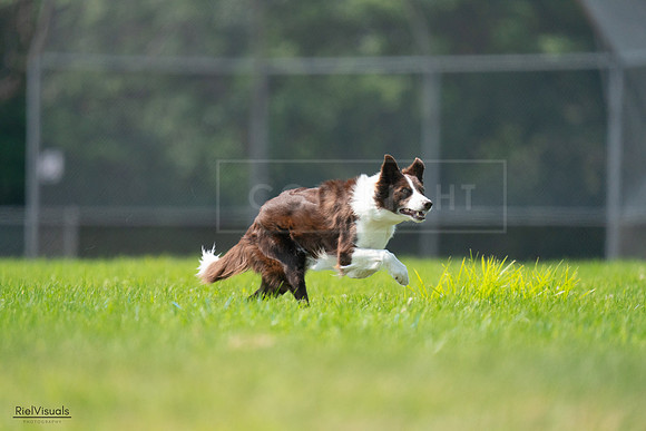 RielVisuals_20240727_115631_SJR04361