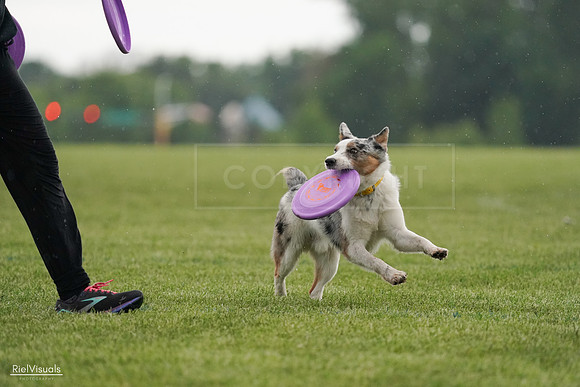 RielVisuals_20240526_092908_SJR00168