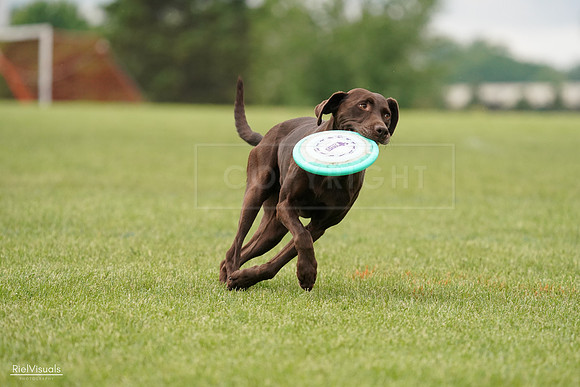 RielVisuals_20240527_132602_SJR09794